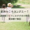夏休みこそヨンデミー！読書習慣づくりにおすすめの理由を実体験で解説